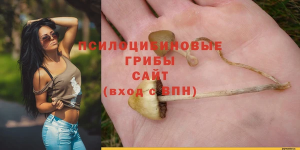 гашишное масло Белокуриха