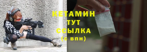 сатива Белоозёрский