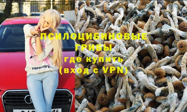 сатива Белоозёрский