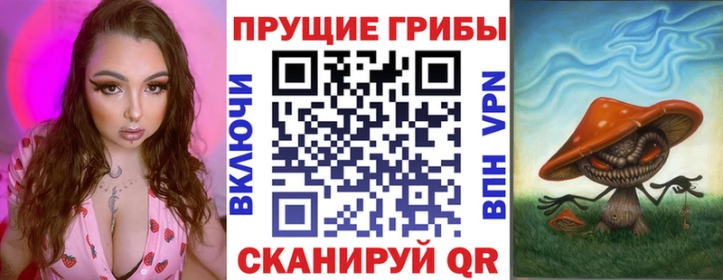 где купить наркоту Отрадная Галлюциногенные грибы MAGIC MUSHROOMS
